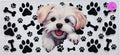 O154 Animals