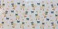O126 Animals