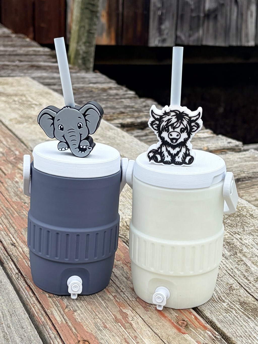 3D CAN KOOZIES