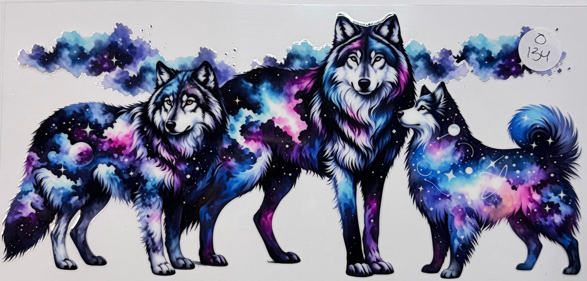 O134 Animals