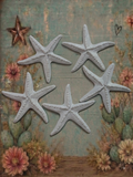Starfish Lid Charms